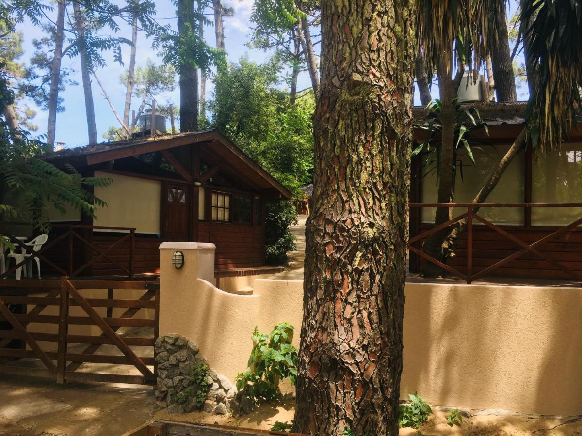 Apartamento Entre Pinos Villa Gesell