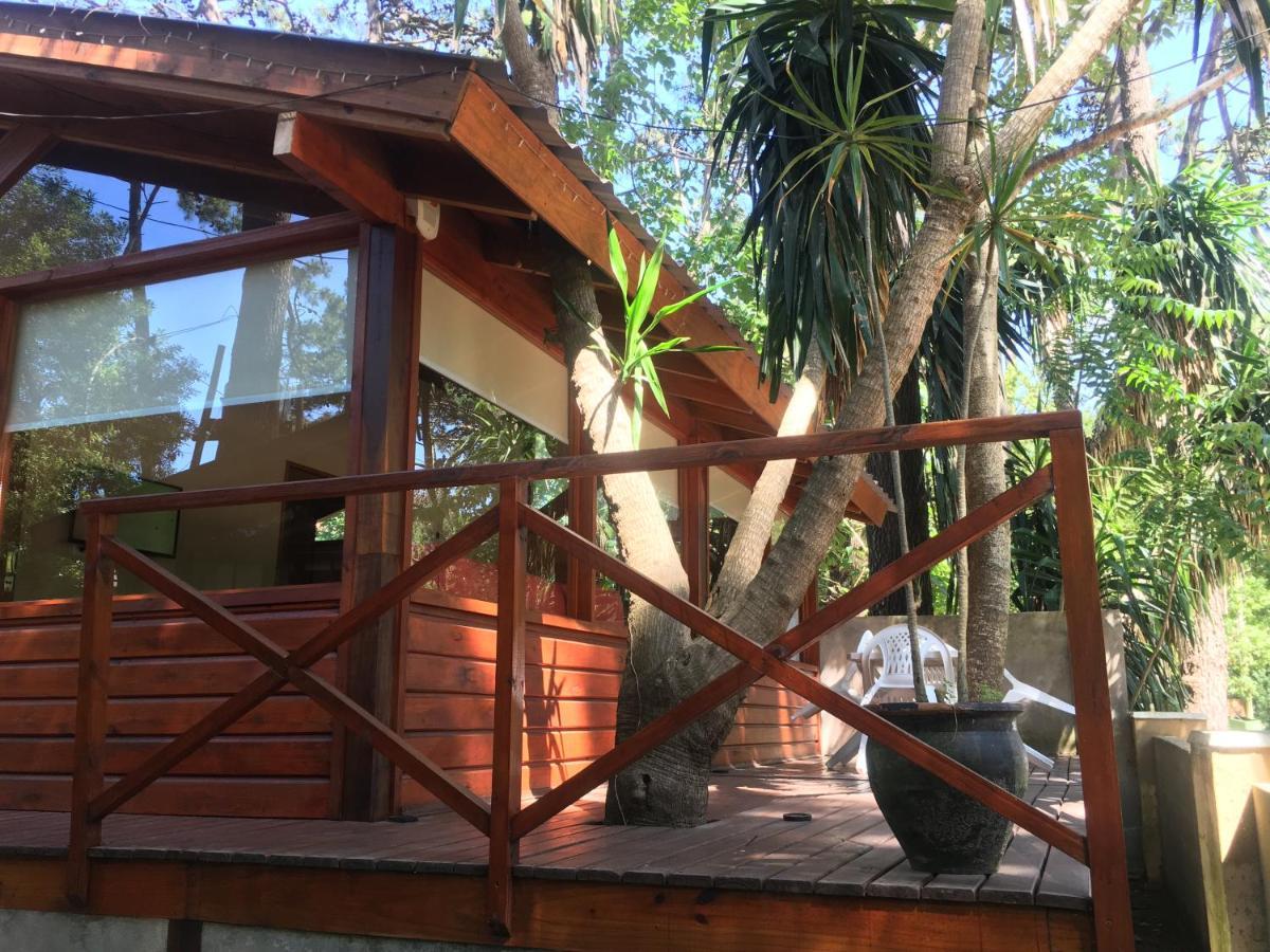 Entre Pinos * Villa Gesell