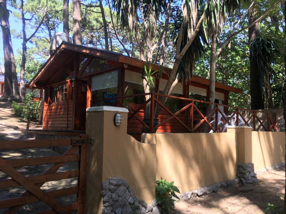 Apartamento Entre Pinos *