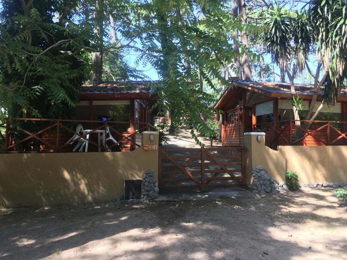 Entre Pinos * Villa Gesell