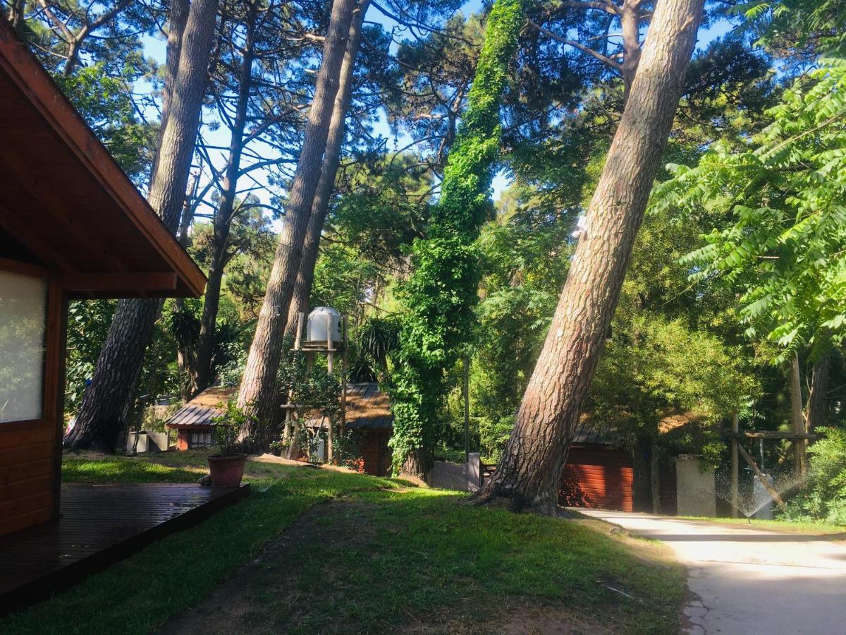 Entre Pinos Villa Gesell